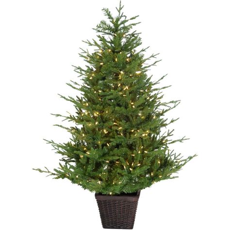 PRICES MAY VARY. 4. 0-FT TALL: Standing 4. 0-ft. tall this accent tree is the perfect size for covered outdoor porches, entryways, or small spaces. POT INCLUDED: No need to find the perfect container. Beautiful rustic basket drum pot included. PRE-LIT DESIGN: Pre-strung with 200 long lasting, warm white LED lights to bring a festive glow to your home. FULL AND DENSE: crafted of 425 full and life-like tips creating a full and natural appearance. HIGH-QUALITY MATERIALS: Designed using high-quality Garland Trees, Natural Garland, Potted Christmas Tree, Fraser Hill, Potted Christmas Trees, Rustic Baskets, Prelit Tree, Outdoor Christmas Tree, Black Christmas Trees