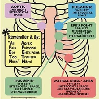 mnemonic:    A ll   P igs  E at  T oo  M uch Nursing Information, Nursing Assessment, Heart Sounds, Nursing Mnemonics, Cardiac Nursing, Nursing School Survival, Nurse Rock, Nursing School Studying, Nursing School Tips