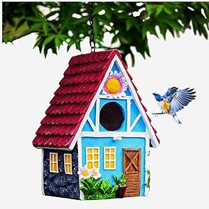 Decorative Bird Houses Paint, Birdhouse Painting, House Courtyard, Hand Painted Birdhouses, Tree Swallow, Bluebird House, Cute Little Houses, Birds Design, Outdoor Trees