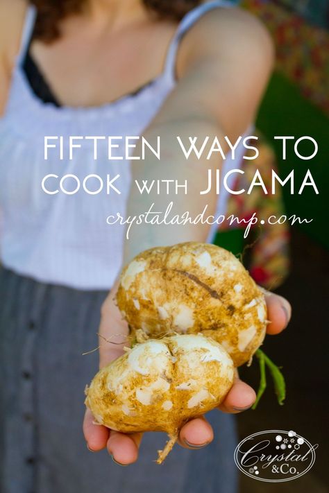 ways to cook with jicama Jicama Mashed Potatoes, Jicama Recipes, Jicama Recipe, Apple Sticks, Salad Apple, Microbiome Diet, Jicama Fries, Ideal Protein Recipes, Turnips