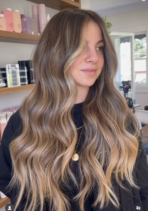 Best Fall Hair Colors, Light Brunette Hair, Blonde Hair Colors, Blonde Shades, Rambut Brunette, Honey Brown Hair, Brown Hair Looks, Brown Hair Inspo, Brunette Hair With Highlights