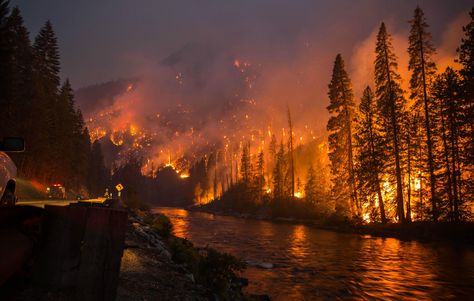 Firefighters, right now, are protecting Leavenworth, WA. They are posted every 100 yards looking for hot spots that jump the river. Wildland Fire, Wildland Firefighter, Wild Fire, Forest Fire, Life Is Strange, Gatlinburg, Great Smoky Mountains, Smoky Mountains, In The Mountains