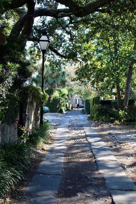 Self-guided walking tour of Charleston's historic neighborhood. // Unique Family Travel | Vacation Ideas | South Carolina Historic Neighborhood, Neighborhood Walk, South Carolina Travel, Diving Course, Travel Recommendations, Spa Vacation, Free Vacations, Top Travel Destinations, Best Vacations