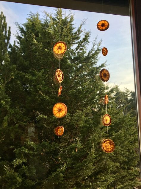 Hanging Dried Fruit, Things To Hang Off Ceiling, Dried Fruit Curtain, Dried Orange Garland Window, Hanging Dried Oranges, Dried Oranges Window, Orange Garland Window, Dried Lemon Decor, Hanging Orange Slices