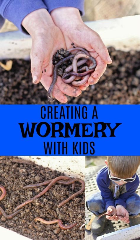 Creating a wormery with kids Worms Preschool, Worm Crafts, Nature Classroom, Preschool Garden, Forest School Activities, Planting For Kids, Worm Composting, Nature School, Worm Farm