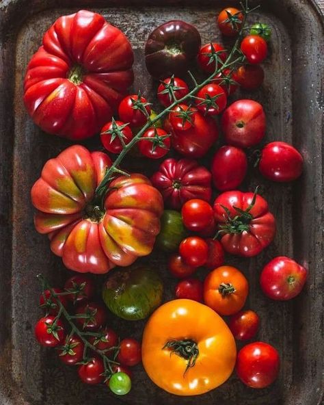 Tomatoes Aesthetic, Tomato Photography, Tomato Aesthetic, Vegetables Aesthetic, Fruit Photos, Vegetables Photography, Bread Art, Vegetable Garden Diy, Incredible Edibles