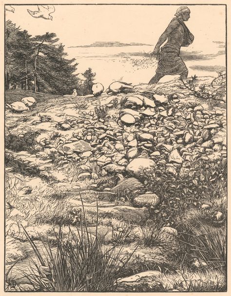 Sir John Everett Millais PRA, The Parable of the Sower Sir John Everett Millais, Parable Of The Sower, Everett Millais, John Everett Millais, London Artist, Reading Art, Royal Academy Of Arts, Pre Raphaelite, Wood Engraving