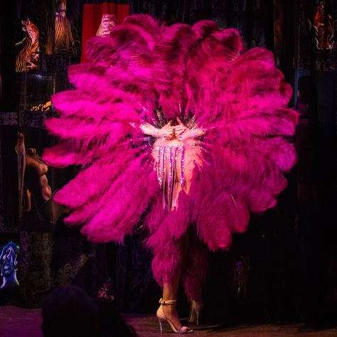 Showgirl Aesthetic, Red Showgirl Costume, Showgirls 1995 Aesthetic, Burlesque Fan, Burlesque Feathers, Feather Fan Burlesque, Flapper Outfit, French Costume, Las Vegas Burlesque Shows