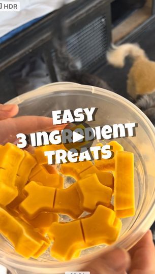 150K views · 1.8K reactions | When it comes to diagnosing problem behavior, you should always rule out possible physical issues first!

Next time your dog has diarrhea or constipation, try making these simple 3 ingredient treats. 

1/2 a cup of pumpkin puree 
1/2 a cup of greek yogurt
And 1/2 a cup of bone broth for dogs. 
Blend all together until smooth and pour into silicone molds. 
Freeze for a few hours
and use as a topper or give them out as treats!

Pumpkin is high in fiber and great for digestive health. 
Greek yogurt has probiotics and live bacteria. 
Share with a pet parent who could use this information.
Follow for more canine behavior and wellness tips!
#dogrecipe #dogbehavior #dwbnabbthemuttmaster #easyDIYrecipeforyourdog #constipation #diarrhea #ruleoutphysical | Dog Behavior Bone Broth For Dogs, Broth For Dogs, Dizzy Cook, Dog Medicine, Dog Remedies, Dog Tricks, High In Fiber, Frozen Dog, Puppy Treats