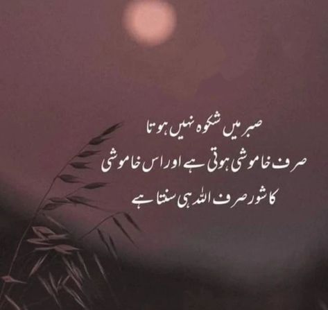 Islamic ✨Islam ✨Quotes 📚📝 Sufi Quotes Urdu, Sufi Islam, Sabar Quotes, Shab E Barat, Quotes Urdu, Quotes In Urdu, Sufi Quotes, Sufi Poetry, Special Images