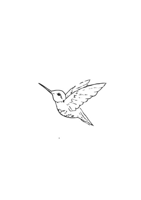 Matching Tattoos Hummingbird, Humming Bird Tattoo Small Simple, Basic Hummingbird Tattoo, Line Drawing Hummingbird, Hummingbird Flash Tattoo, Fine Line Mockingbird Tattoo, Humming Bird Tattoo Small Outline, Tiny Hummingbird Tattoo Simple, Hummingbird On Flower Tattoo