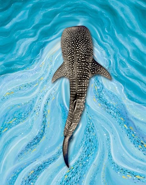 Shark Parking Spot Painting, Whale Shark Mural, Whale Shark Painting, Shark Mural, Shark Painting, Parking Spot Painting, Cute Backgrounds For Iphone, Sea Life Art, Shark Art