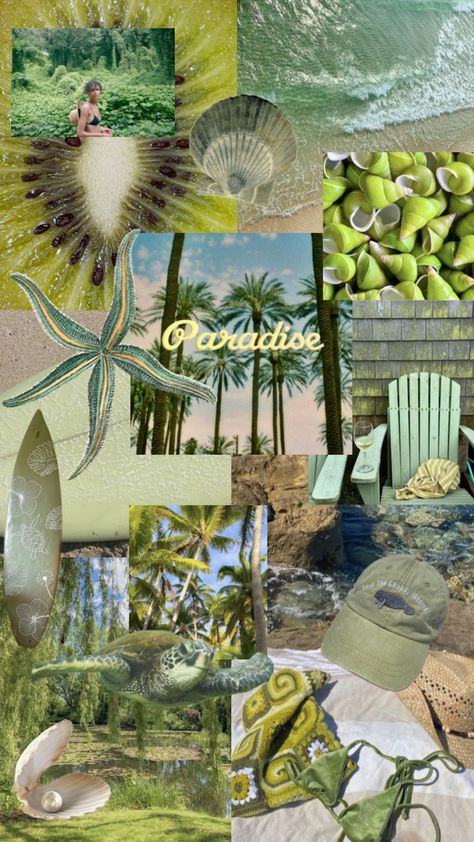 #beachyaesthetic #collage #greencollage #greenwallpaper #greenaesthetic #greenbeachy #summervibes #tropicalsummer #summeraesthetic Summer Green Aesthetic, Green Vibes, Beachy Aesthetic, Cute Summer Wallpapers, Wallpaper Collage, Summer Green, Iphone Wallpaper Tumblr Aesthetic, Earth Angel, Summer Wallpaper