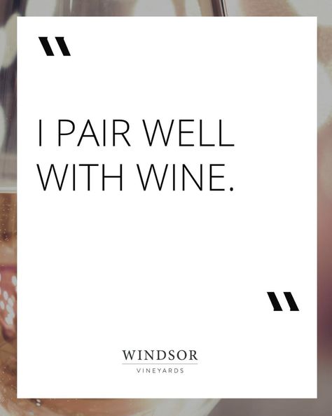 Lux Quotes, Wine Bag Quotes, Wine Memes, Wine Pictures, Wine Puns, Drinking Memes, Wine Meme, Custom Wine Bottles, Culture Quotes