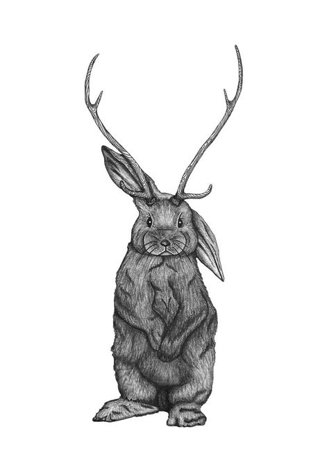 Rabbit With Horns Tattoo, Bunny With Antlers, Rabbit With Antlers, Antlers Drawing, Jackalope Tattoo, Hare Drawing, Antler Tattoo, Bunny Patterns, Animals With Horns