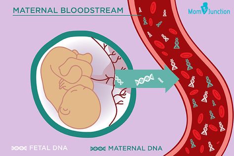 NIPT: When Is The Test Done And What Are Its Benefits Nipt Test, Patau Syndrome, Chromosomal Abnormalities, Genetic Counseling, Social Media Impact, Mang Thai, Unborn Baby, Mom Junction, Genetic Testing