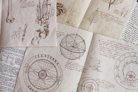 Drawing aesthethic, Leonardo da vinci sketches inspired, vintage aesthetic, old paper, human anatomy, astronomy, astrology Soft Academia, Old Sketches, Book Notes, Chaotic Academia, Dark Academia Aesthetic, Studying Inspo, Academia Aesthetic, Mad Scientist, School Motivation