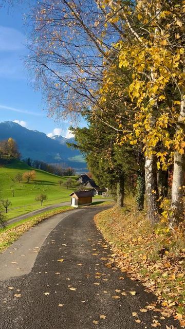 Khadija | Your nature & discovery escape 🇨🇭 on Instagram: "🎥 @khadija_sweetheart Beautiful countryside hike surrounded by the Alps in central Switzerland🇨🇭🍂🏔🍁 I took this video yesterday on 27th Nov. 2022 to capture the last pieces of Autumn season. We can already see the snow on each mountains peaks🏔 🏷 Tag someone you would like to take there 👇 ———————————————————————— #myswitzerland #switzerland_vacations #switzerland #wonderful_places #wonderful_swiss #switzerland🇨🇭 #lake #europe Khadija Core, Switzerland Lake, Swiss Switzerland, Swiss Travel, Visit Switzerland, Beautiful Countryside, Thought Quotes, Europe Fashion, Deep Thought