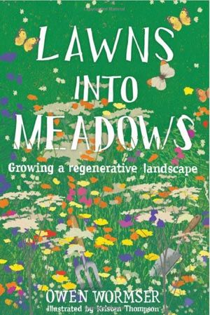 Replace Lawn, Sustainable Landscaping, Natural Ecosystem, Weather And Climate, Green Lawn, Wildflower Seeds, Community Gardening, Different Plants, Growing Food