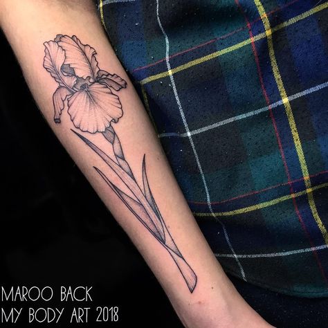 Blue Flag Iris Tattoo, Bearded Iris Tattoo, Blue Flag Iris, Iris Tattoo, Blue Flag, Bearded Iris, Ink Drawings, Laura Lee, Back Tattoo