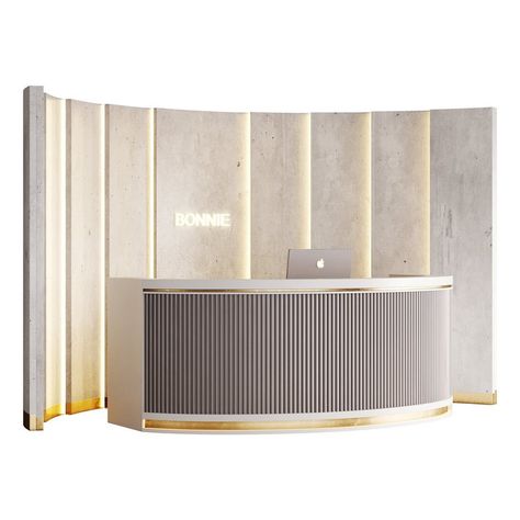 Contemporary Reception 18 Paving Texture, Contemporary Reception, Bidet Bathroom, Shop Doors, Contemporary Desk, Decorative Plaster, 3d Panels, Wall Racks, Soft Seating