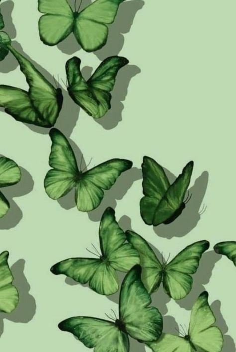 Green Butterflies, New Tablets, Avengers Wallpaper, Green Butterfly, Greens Recipe, Simple Wallpapers, Good Notes, Green Aesthetic, Colorful Wallpaper