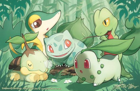 PKMN: Grass Starters by finni on DeviantArt Grass Pokemon, Pokemon Cover, Pokemon Starter, Pokemon Eeveelutions, Pokemon Eevee, Nintendo Art, Drawing Games, Nintendo Game, Pokemon Teams