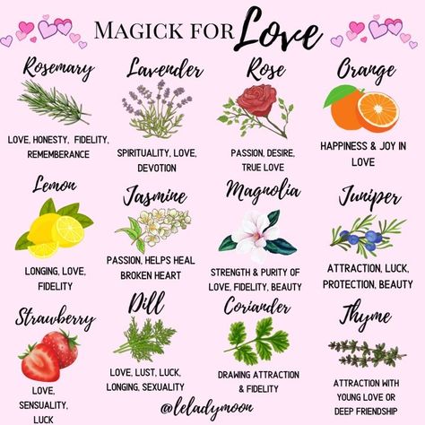 Awaken Your Inner Magic💎🌙 on Instagram: “Magick for love🌹🍓💕🌸🍫💫 . F O L L O W @leladymoon, @witchmagicklove & @thewitchymarketplace 🌙 . Tap the link in bio for....... 🎶Witchy…” Herb Meanings, Spells That Actually Work, Witchcraft Herbs, Beauty Spells, My Mistake, Magic Herbs, Eclectic Witch, Witchcraft Spell Books, Witchcraft For Beginners