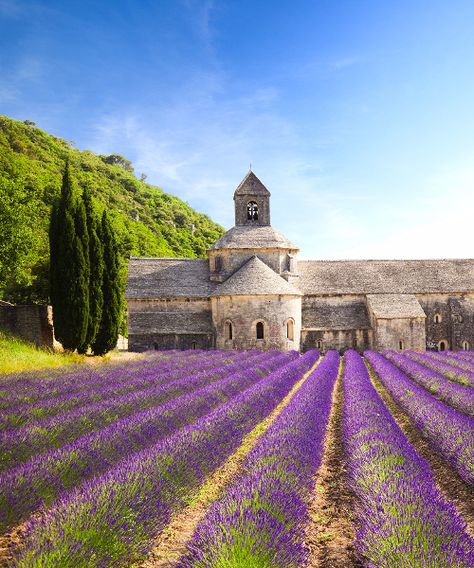 The Most Beautiful Places in France: Sénanque Abbey, Provence Beautiful Places In France, Places In France, Lavender Field, Voyage Europe, Destination Voyage, Provence France, France Travel, South Of France, Pretty Places