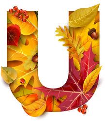 Autumn Alphabet Letters, Letter E, Letter R, Transparent Png, Lettering Alphabet, Home Deco, Png Images, Vector Images, Adobe Illustrator