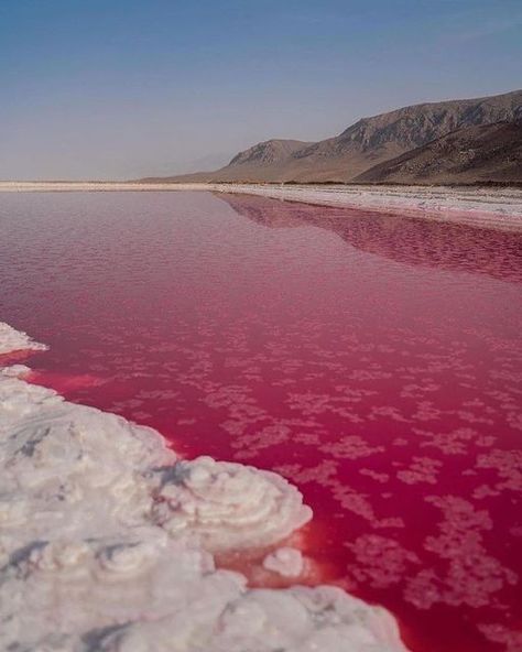 Red Tide, Shiraz Iran, Aesthetic Era, Red Lake, Alien Worlds, Shiraz, Video Photography, Pastel Aesthetic, Fantasy Landscape