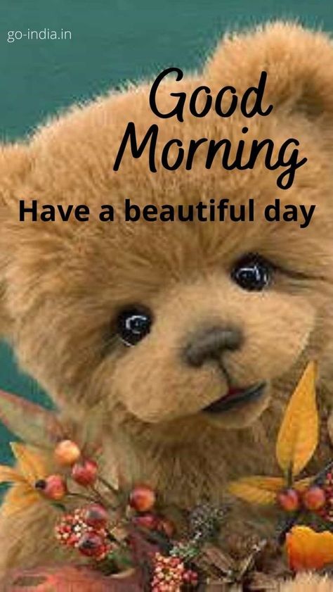 Good Morning Teddy Bear, Cute Morning Quotes, Cute Good Morning Gif, Teddy Bear Quotes, Good Morning Animals, Happy Day Quotes, Teddy Bear Images, Good Morning Funny Pictures, Good Morning Sunshine Quotes