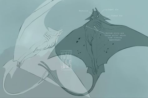 Manta Ray Character Design, Character Reference, Manta Ray, Constellations, Character Design Inspiration, Design Inspiration, Character Design, Design, Art