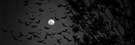 Bat Twitter Header, Gothic Discord Banner, Dark Emo Aesthetic, Black Aesthetic Banner, Vampire Banner, Gothic Header, Horror Banner, Gothic Writing, Anime Moon