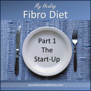 Fibro Diet, Pancreatic Diet Recipes, Paleo Plan, Chronic Fatigue Symptoms, Meat Diet, Natural Healing Remedies, Fatigue Syndrome, Proper Diet, Chronic Fatigue