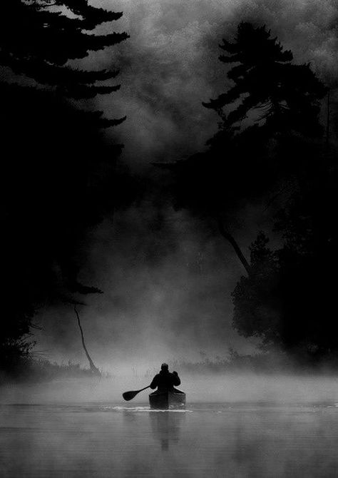 ☾ Midnight Dreams ☽  dreamy & dramatic black and white photography - night row Photography Nature, White Photography, Black And White Photography, Trees, Black And White, Water, Photography, White, Black