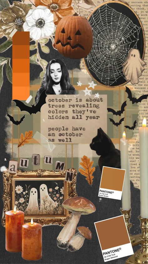 #halloween #retro #vintage #spooky #october #wallpaper #fall #autumn #vibes Wallpaper Fall Autumn, Vintage Spooky, Spooky October, October Wallpaper, Wallpaper Fall, Halloween Retro, Autumn Vibes, Fall Autumn, Retro Vintage