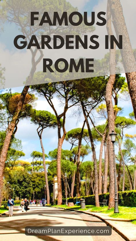 pathy with tall palm umbrellas and people walking in gardens in rome Villa Borghese Gardens, Best Food In Rome, Rome Bucket List, Free Things To Do In Rome, Rome Winter, Travel Rome, Rome Attractions, Villa Borghese, Rome Travel Guide