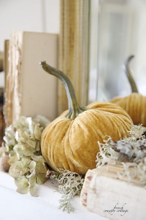 Autumn velvet pumpkinI want to thank that very special person for mine like this today. I will have to see it somewhere special. Autumn Mantel Decor, Autumn Mantel, Fall Thanksgiving Decor, Autumn Decorating, Velvet Pumpkins, Fall Mantel, Mantel Decor, Harvest Time, French Country Cottage