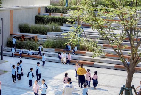 Landscape Stairs, School Campus, Landscape Elements, Outdoor Classroom, Ornamental Grasses, Contemporary Landscape, Outdoor Landscaping, Landscape Architect, Architecture Project