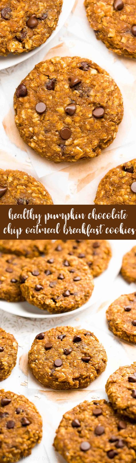 Healthy Pumpkin Chocolate Chip Oatmeal Breakfast Cookies – only 78 calories! They taste like pumpkin pie! Soft, chewy & the BEST pumpkin oatmeal cookies you'll ever have! ♡ healthy pumpkin oatmeal breakfast cookies. gluten free vegan pumpkin cookies. clean eating pumpkin breakfast cookies. easy healthy pumpkin breakfast recipe. Pumpkin Breakfast Cookies, Vegan Pumpkin Cookies, Autumn Baking, Oatmeal Breakfast Cookies, Pumpkin Oatmeal Cookies, Pumpkin Breakfast, Breakfast Oatmeal, Baking Chocolate, Healthy Baking Recipes