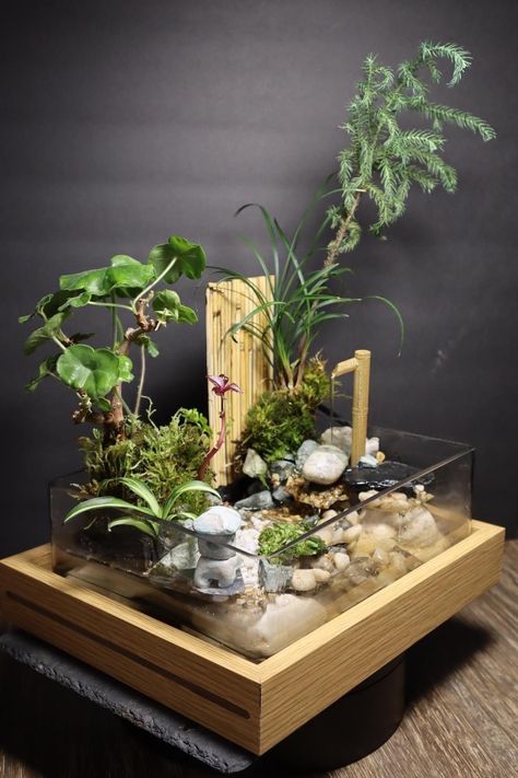 Handmade one of a kind desktop zen garden featuring real living plants and a water fixture. This mini garden is an art piece that presents the essence of zen in its beautiful and serene design. It uses an electric water pump to supply water to the plants. Minimal care is needed for you to watch the plants grow, listen to the water flow, and enjoy a mind calming garden from any room. Table Top Zen Garden, Zen Garden Desktop, Bonsai Indoor, Desktop Zen Garden, Serene Design, Mini Zen Garden, Indoor Planting, Electric Water Pump, Bonsai Garden