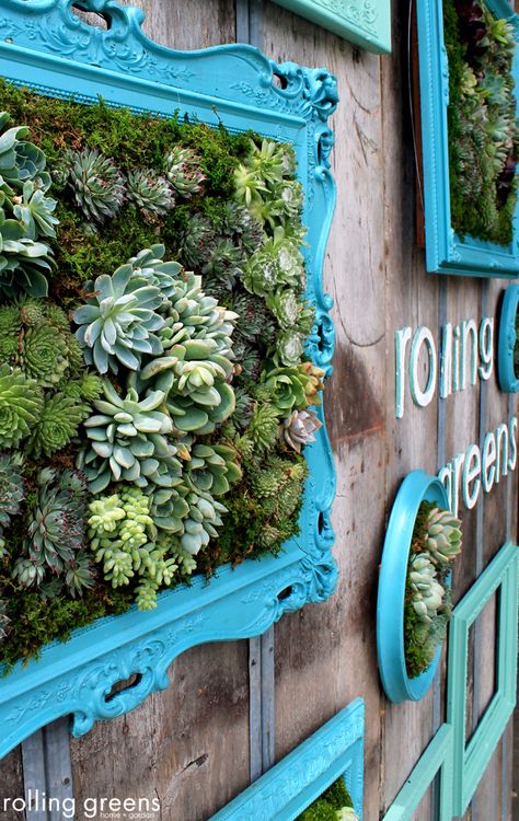 How To Beautify Your House – Outdoor Wall Décor Ideas Tanaman Sukulen, Diy Jardin, Taman Diy, Succulent Wall Art, California Garden, Hanging Succulents, Succulent Wall, Walled Garden, Succulent Gardening