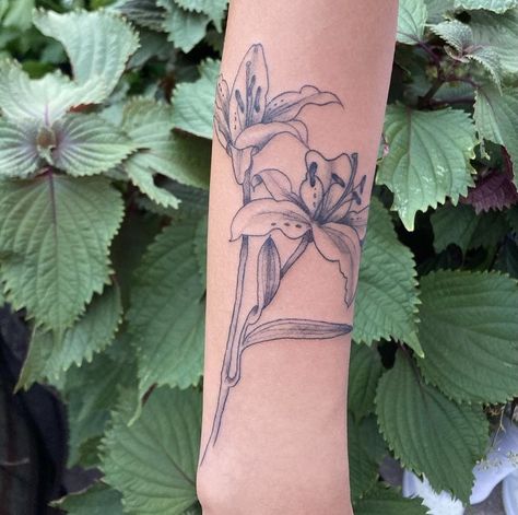 American Traditional Lily Tattoo, Daylily Tattoo, Shaded Tattoos, Lily Tattoo Sleeve, Lilly Flower Tattoo, Tats Ideas, Gilded Lily, Father Tattoos, Digital Wardrobe