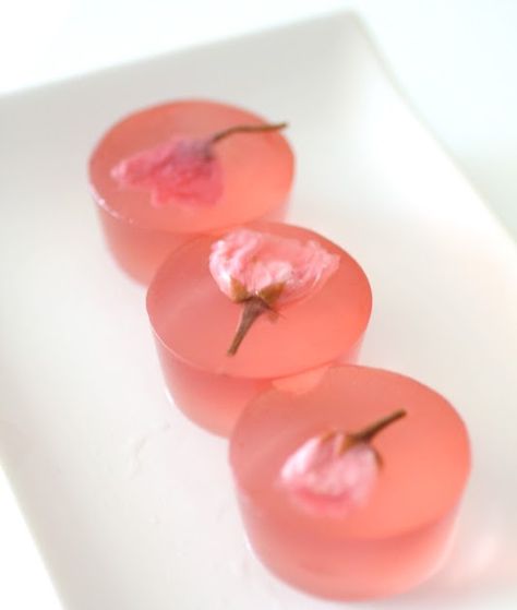 Sour Plum, Japanese Sweets Wagashi, Jelly Desserts, Sakura Blossoms, Single Again, National Assembly, Blossom Season, Jelly Cake, Cherry Blossom Festival