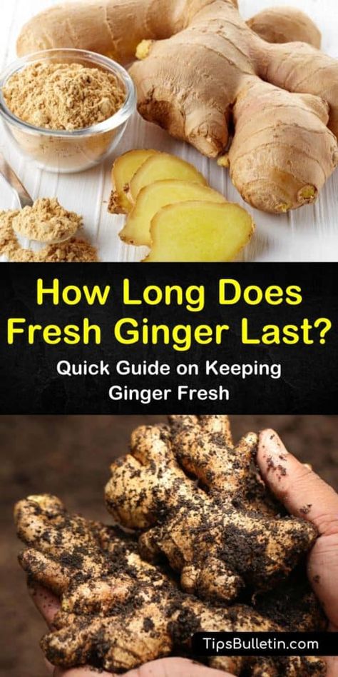 How To Keep Ginger Root Fresh, Recipes With Fresh Ginger, Ginger Root Recipes, Storing Fresh Ginger, How To Store Ginger, Pantry Refrigerator, Ginger Wraps, Raw Ginger, Vegetable Crisps