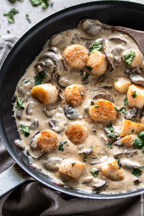 Scallops with Mushroom Sauce | URBAN BAKES Mushroom And Scallops, Winter Scallop Recipe, Scallops With Mushrooms, Scallop Mushroom Pasta, Gnocchi And Scallops Recipes, Small Bay Scallop Recipes, Keto Scallop Recipes, Fish And Mushroom Recipe, Scallops In Cream Sauce