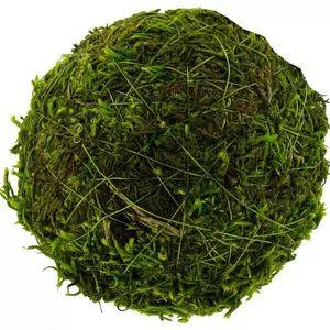 Soft Reindeer Moss | Hobby Lobby | 854174 Hot Glue Flowers, Decorative Bowl Filler, Moss Ball, Moss Decor, Planting Pots, List Of Flowers, Flowers And Greenery, Dark Home Decor, Moss Balls