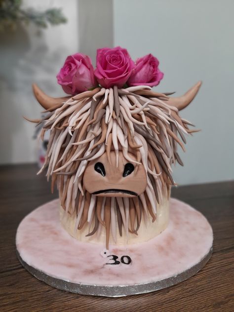 Highland Cow Cake, Cow Birthday Cake, Cow Cupcakes, Cow Cake, Cake Designs For Girl, Cow Cakes, Baby Highland Cow, Cow Nails, Cow Birthday