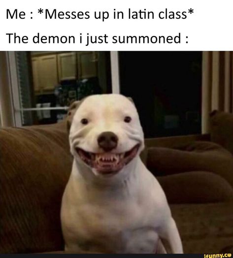 Me : *Messes up in latin class* The demon ijust summoned : – popular memes on the site iFunny.co #scifimythical #artcreative #me #latin #the #demon #ijust #summoned #pic 10 Funniest, Memes Humor, Komik Internet Fenomenleri, Really Funny Memes, Funny Laugh, Best Memes, Popular Memes, Funny Cute, Funny Texts